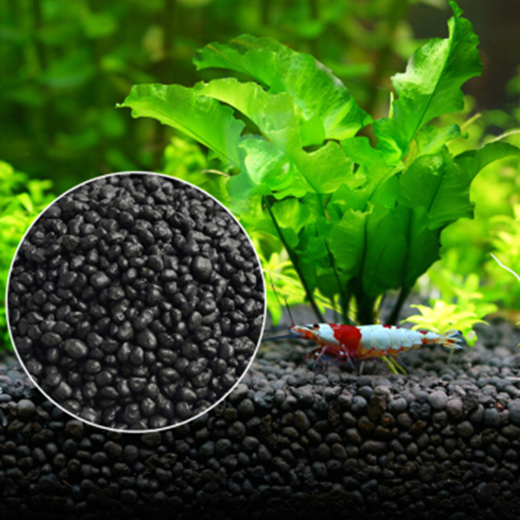 Aquarium Marine Plants - Solo para plantas do tanque de