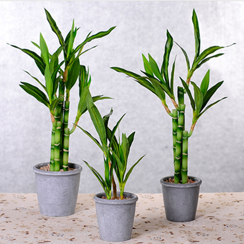 Nova Planta Artificial de Bamb - Aquarium Marine Plants avaliação e preço