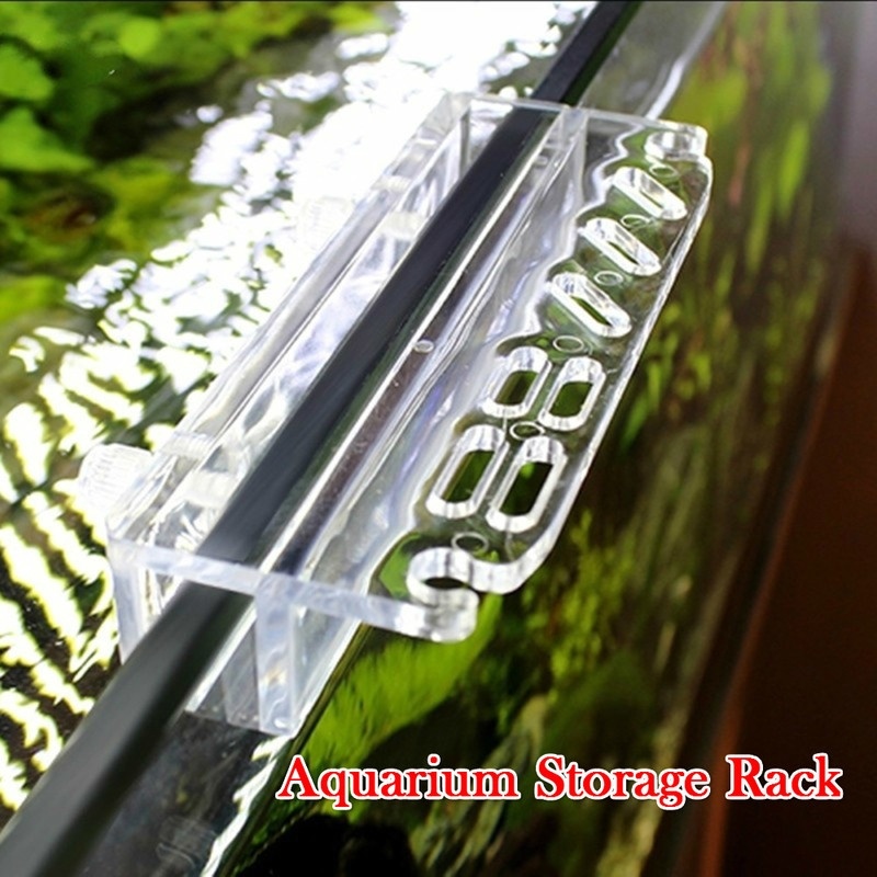 1 pçs novo aquário planta ferr - Aquarium Marine Plants avaliação e preço
