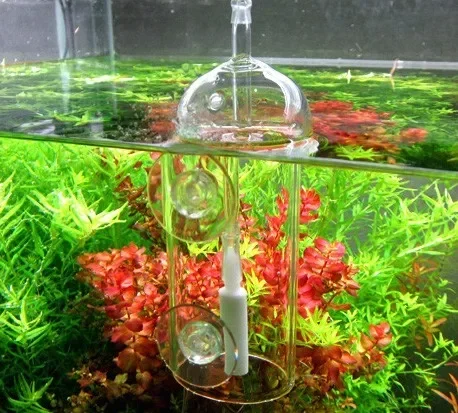 Viv fazer dispositivo cilindro - Aquarium Marine Plants avaliação e preço