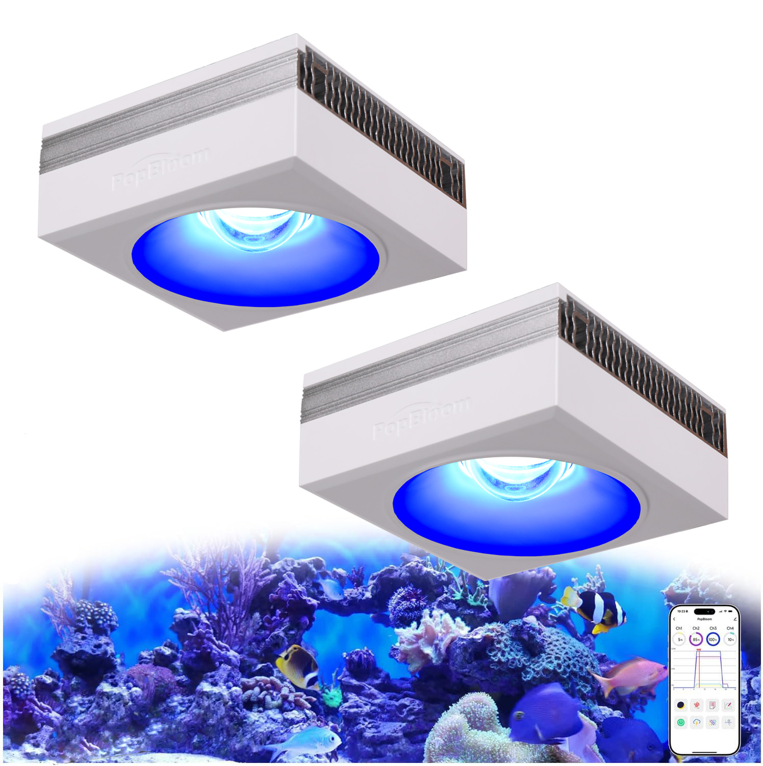 NOVO PopBloom RL90 Luz LED par - Marine X Aquarium avaliação e preço