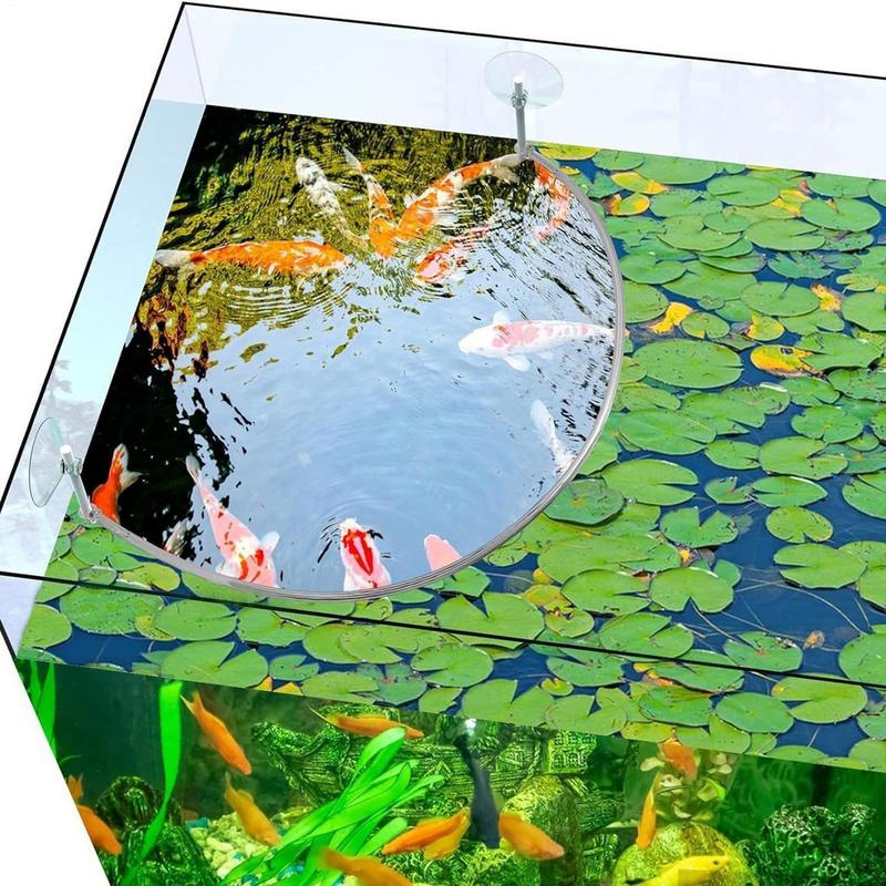 Anel de alimentação de peixes  - Aquarium Marine Plants avaliação e preço