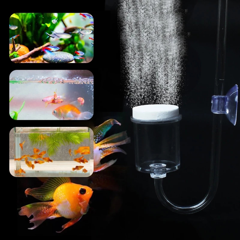 CO2 Difusor para Aquário, DIY  - Aquarium Marine Plants avaliação e preço