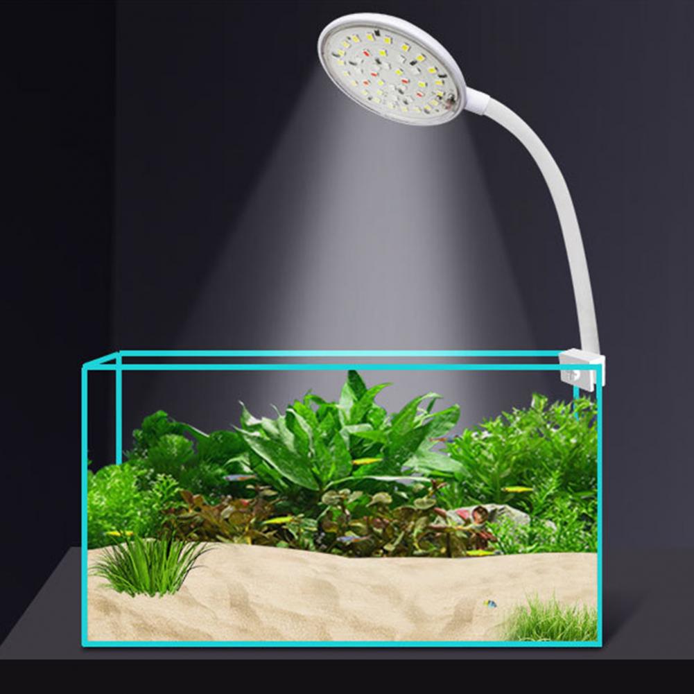 Lâmpada de clipe para tanque d - Marine Aquarium Led avaliação e preço